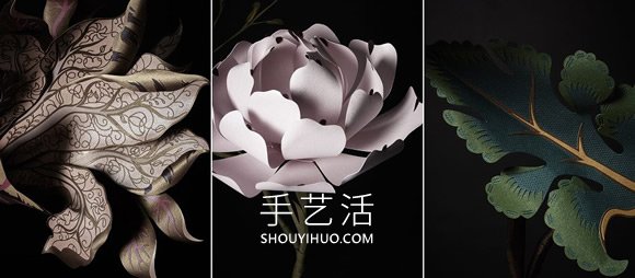 紙雕藝術(shù)家打造如寶石般的手工3D紙花卉 -  rpnrmr.com